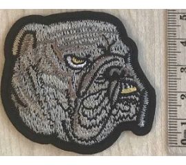 Собаки и волки