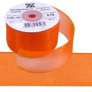 Лента капроновая 38 мм 22.8 м Арт 305.112340(10)