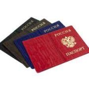Обложка для паспорта велюр Арт 55.122357