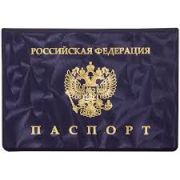 Обложка для паспорта ПВХ 3D тиснение Арт 55.122357