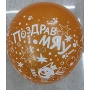 Воздушные шары № 12 (30 см) ПоздравМяу Арт 8.5.012432